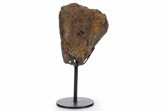 Fossil Hadrosaur Limb Bone Section w/ Metal Stand - South Dakota #340090